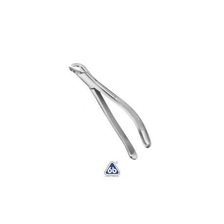 Forcep Adulto No. 151 – 6B Germany