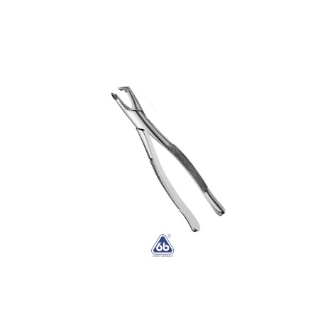 Forcep Adulto No. 222 – 6B Germany