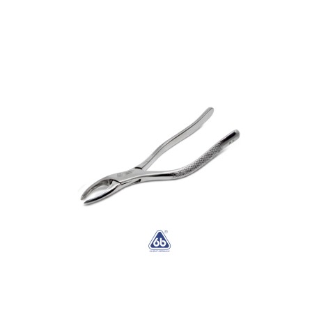 Forcep Adulto No. 69 – 6B Germany
