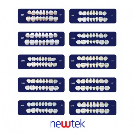 Dientes Newtek Superior e Inferior – Colores y Tamaños